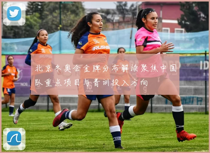 北京冬奥会金牌分布解读聚焦中国队重点项目与青训投入方向