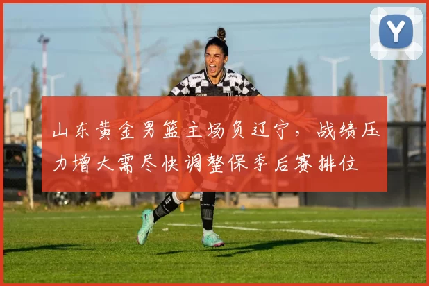 山东黄金男篮主场负辽宁,战绩压力增大需尽快调整保季后赛排位