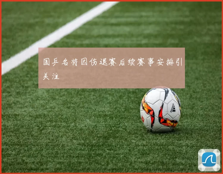 国乒名将因伤退赛后续赛事安排引关注