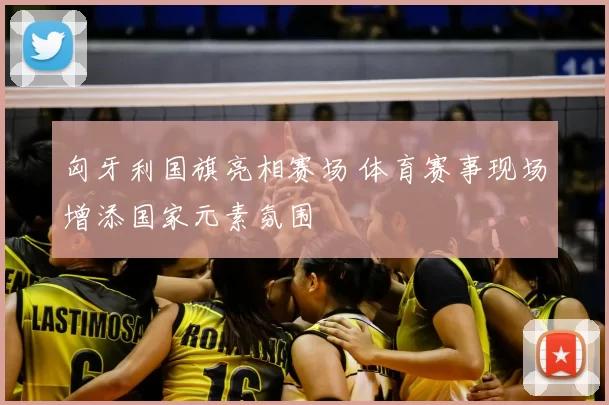 匈牙利国旗亮相赛场 体育赛事现场增添国家元素氛围