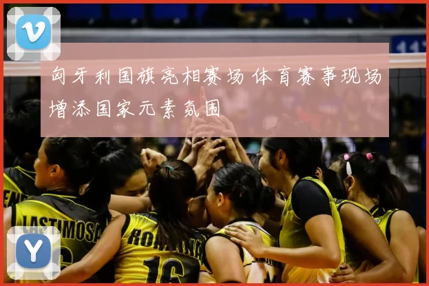 匈牙利国旗亮相赛场 体育赛事现场增添国家元素氛围