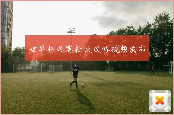 世界杯观赛社交攻略视频发布
